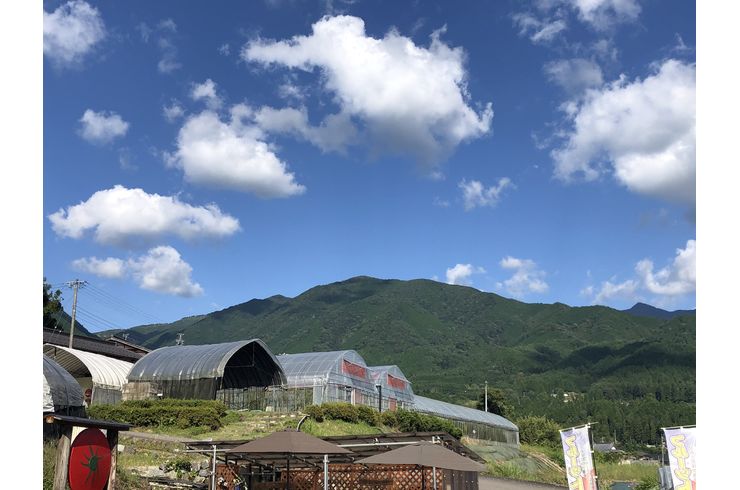 杤本農園