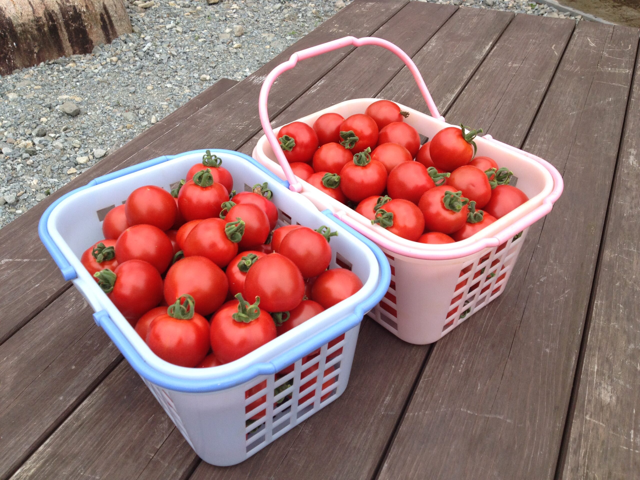 トマトジュース